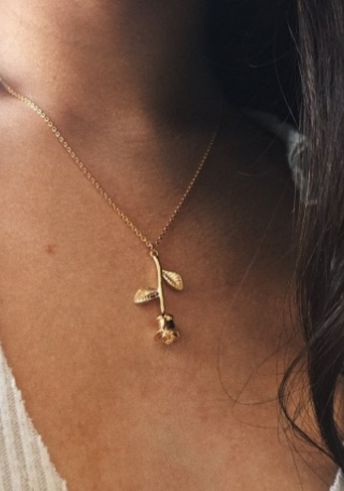 Collar de Rosa